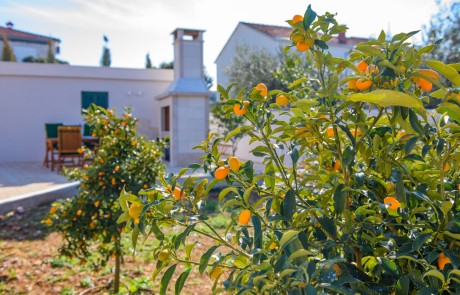 Záhrada s grilom Villa Mária Marta